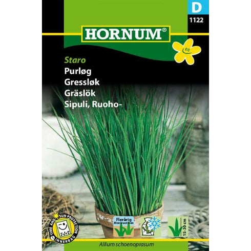 Chives Staro